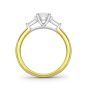 CARLTON - 1745 COLLECTION - CARLTON - DIAMOND SOLITAIRE RING | Heming Diamond Jewellers | London