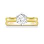 DALTON - 1745 COLLECTION - DALTON - DIAMOND SOLITAIRE RING | Heming Diamond Jewellers | London