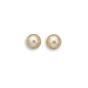 Golden South Sea Pearl Earrings