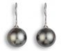 Tahitian Pearl Earrings - 00022874 | Heming Diamond Jewellers | London